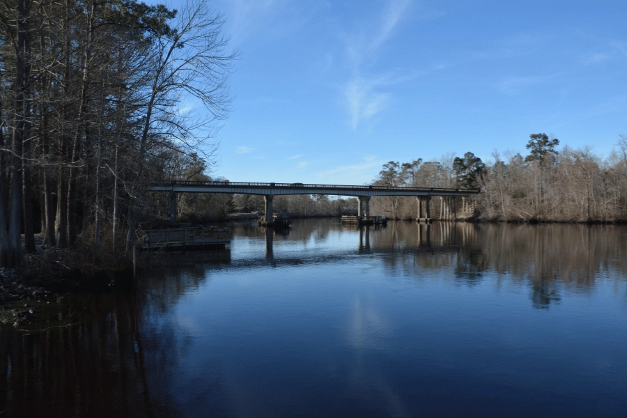 bridge and wooded areas along the Cape Fear River